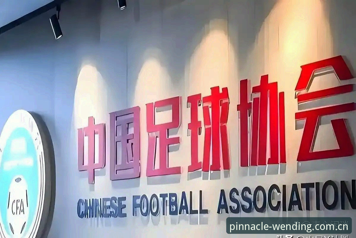 揭秘中国足球重磅罚单：17人终身禁足背后的行业暗流与问鼎电子官网独家深度解读
