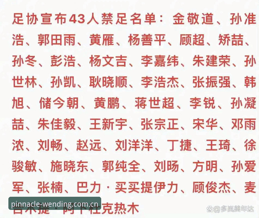 揭秘中国足球重磅罚单：17人终身禁足背后的行业暗流与问鼎电子官网独家深度解读